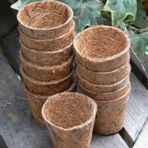 coir cat
